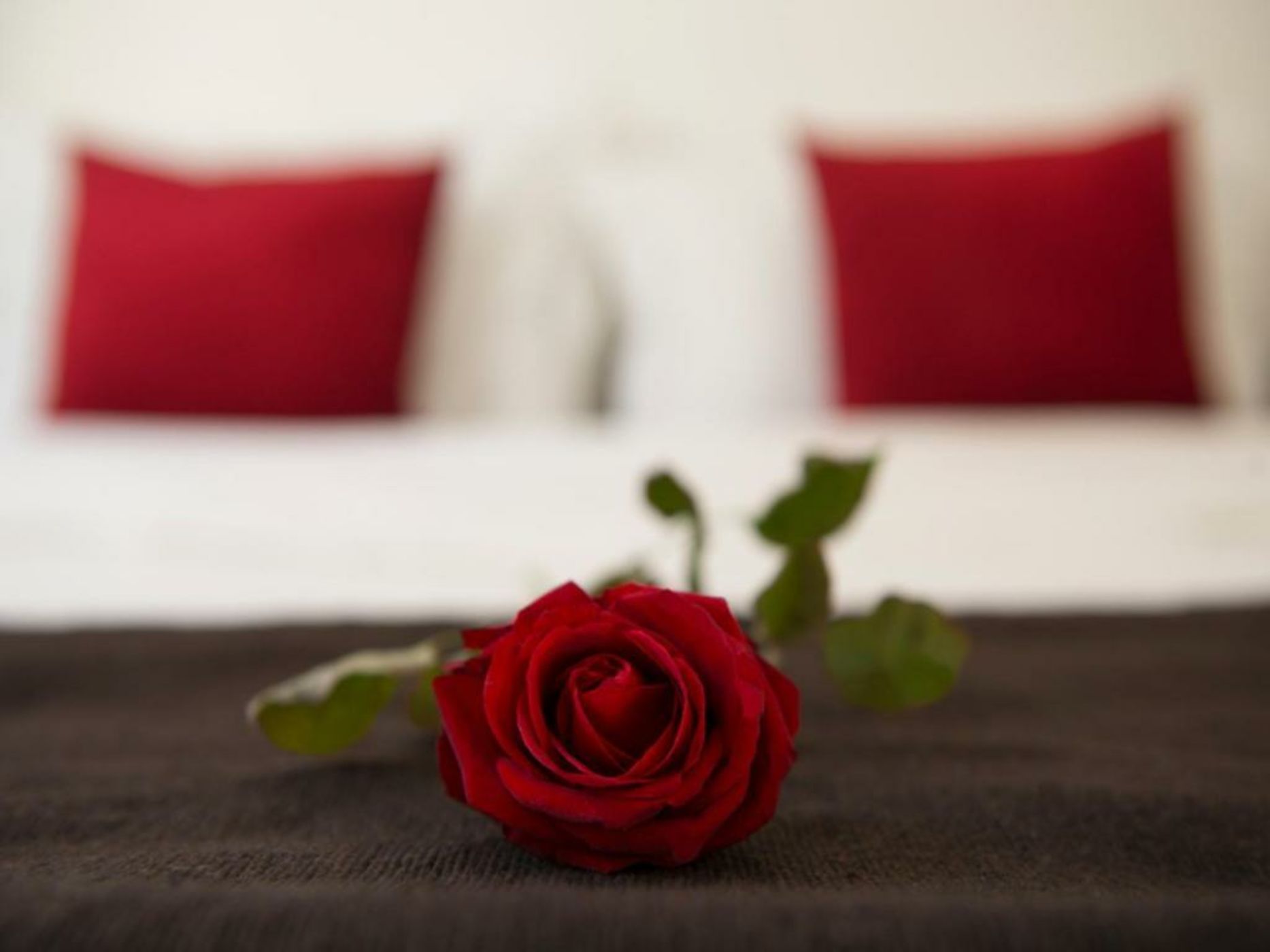 Room in BB - Suite Nomade in luxurious Riad - Marrakech Spa and Massage