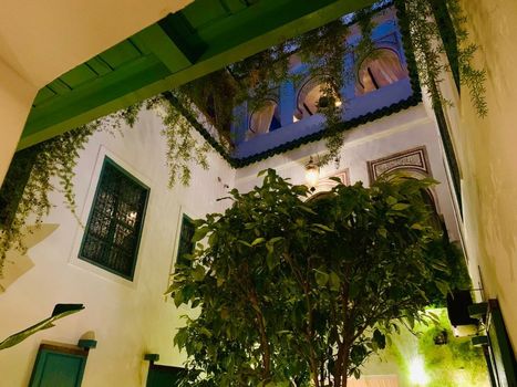 Riad 11 Zitoune