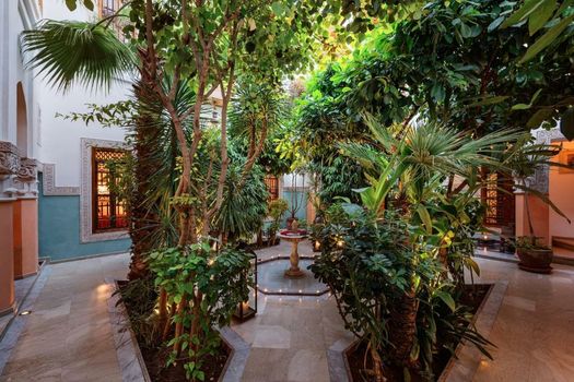 Riad Siwan