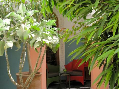 Riad Siwan