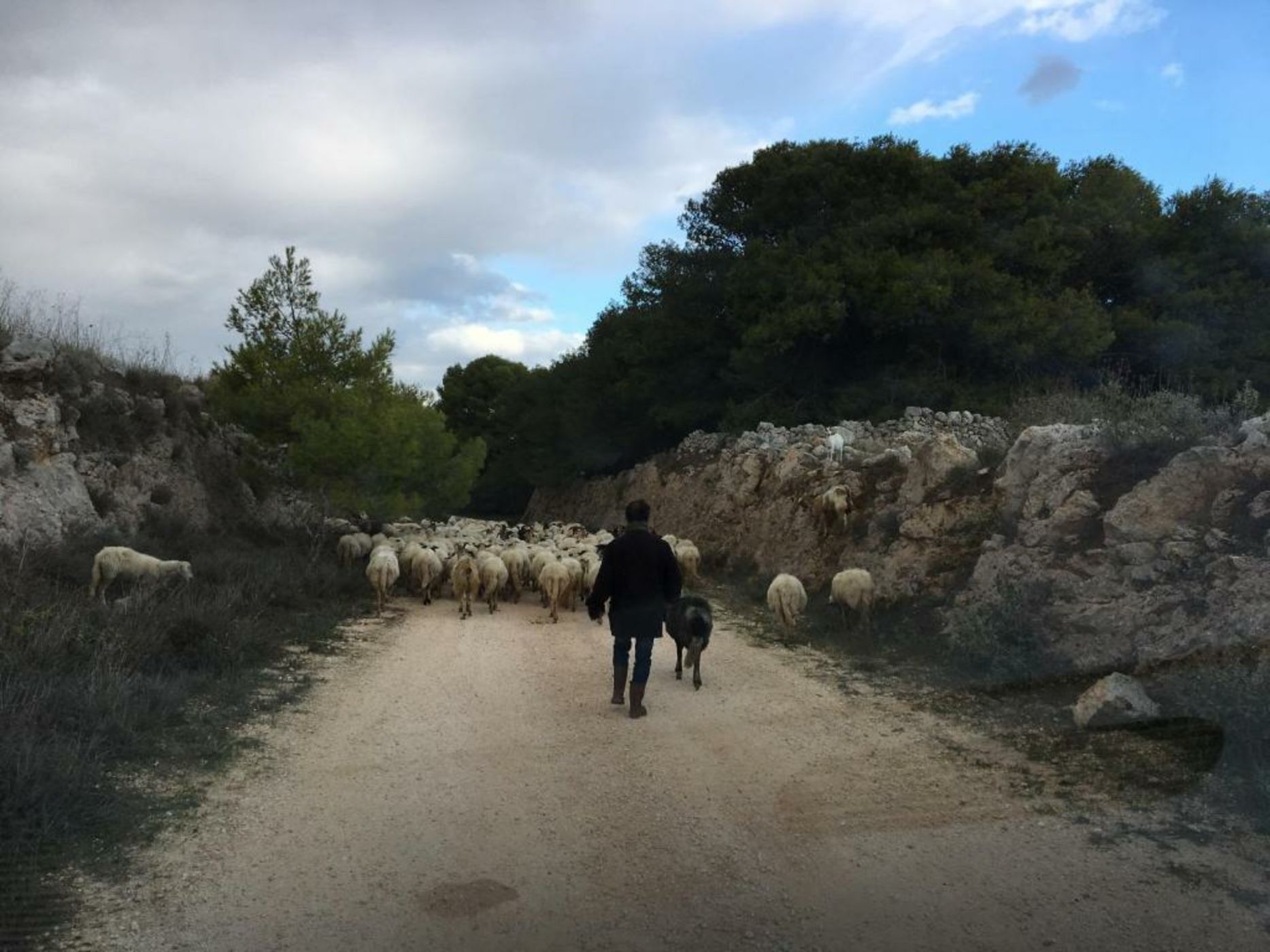 Le Capase Resort Salento