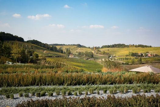 Locanda La Raia