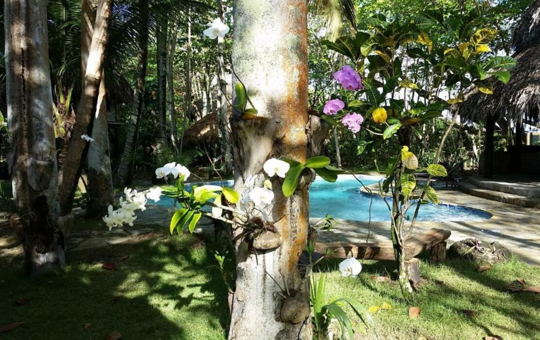 Natura Cabana Boutique Hotel & SPA by Mint
