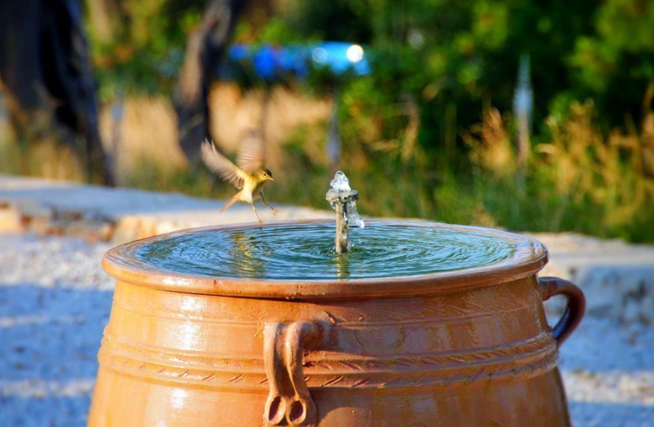 The Infinity 180 Luxury Suites