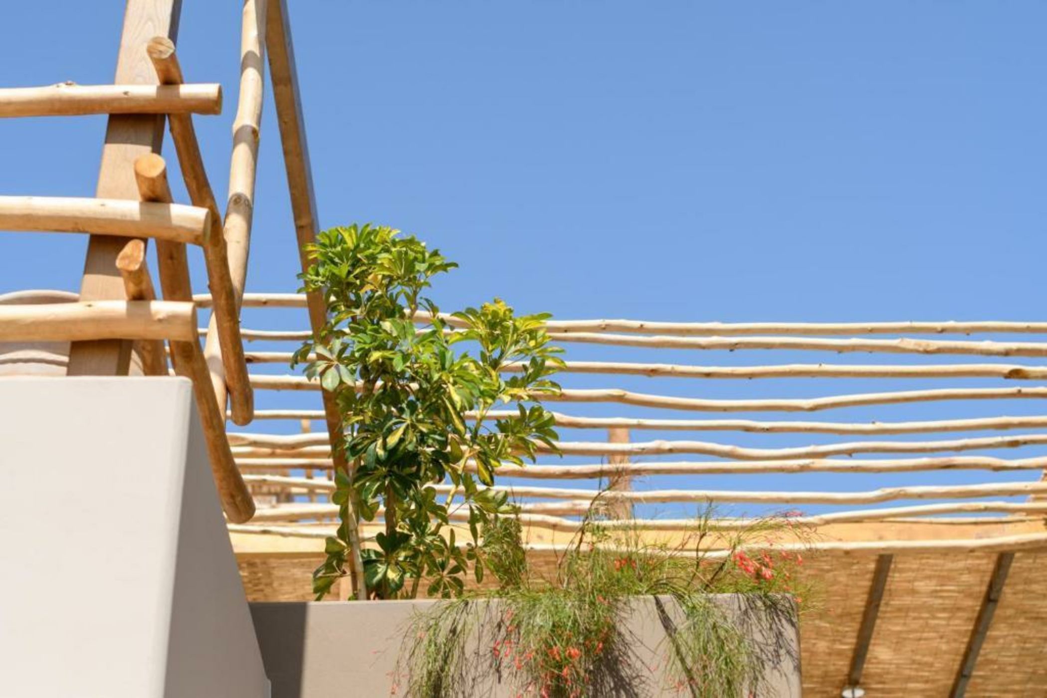 ALETRI new swim up HOTEL