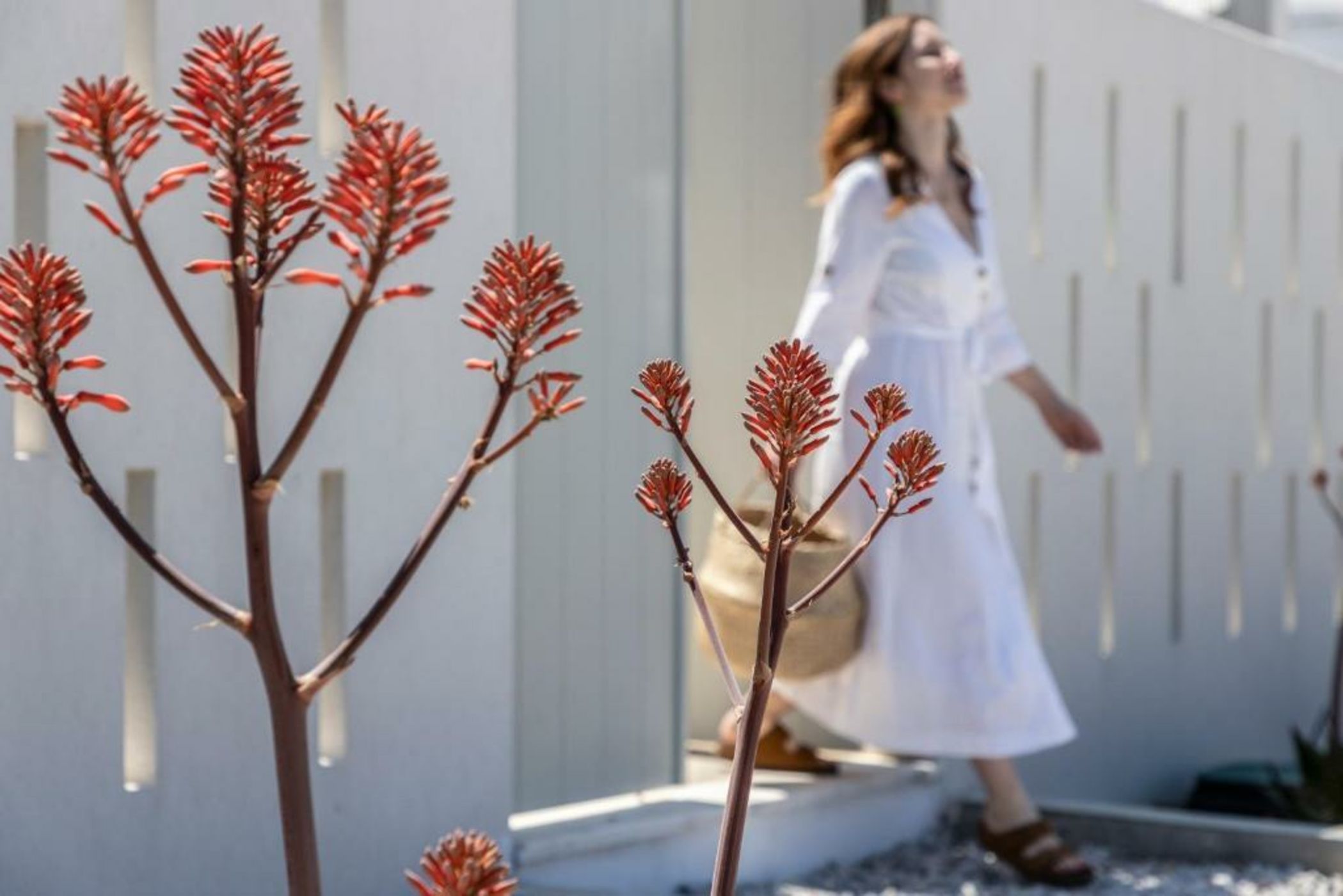 ALERÓ Seaside Skyros Resort