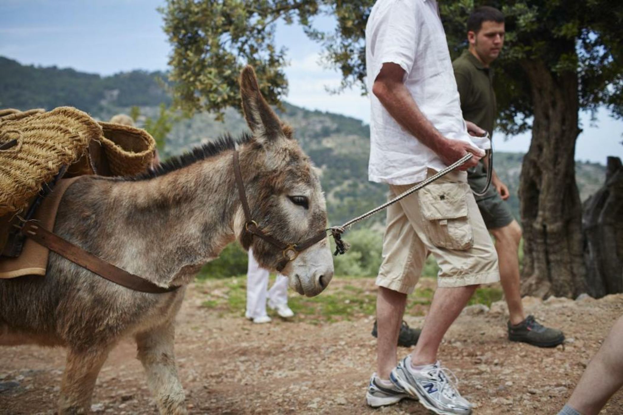 La Residencia, A Belmond Hotel, Mallorca