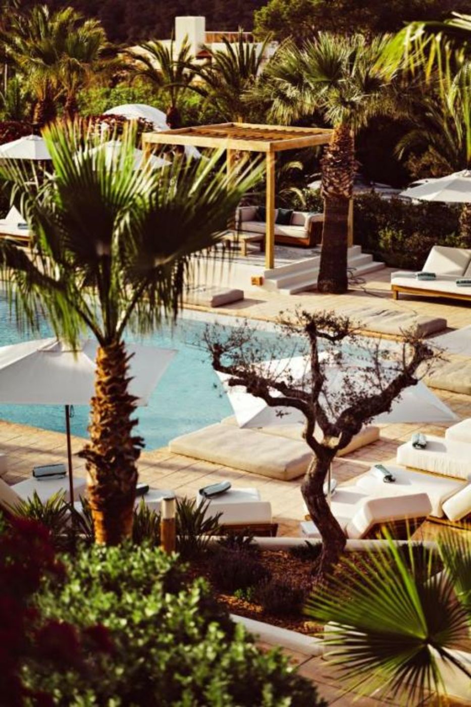 Petunia Ibiza, a Beaumier hotel