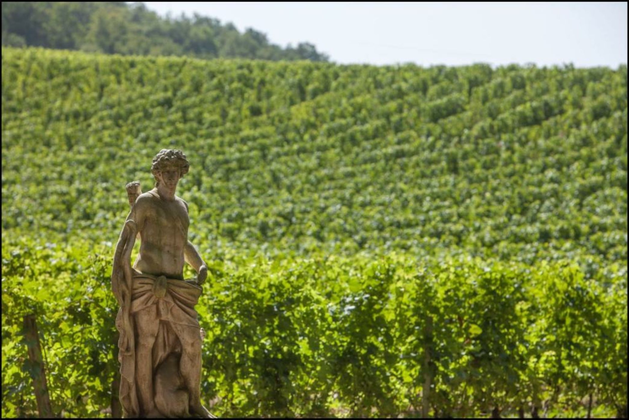 Château de La Rivière