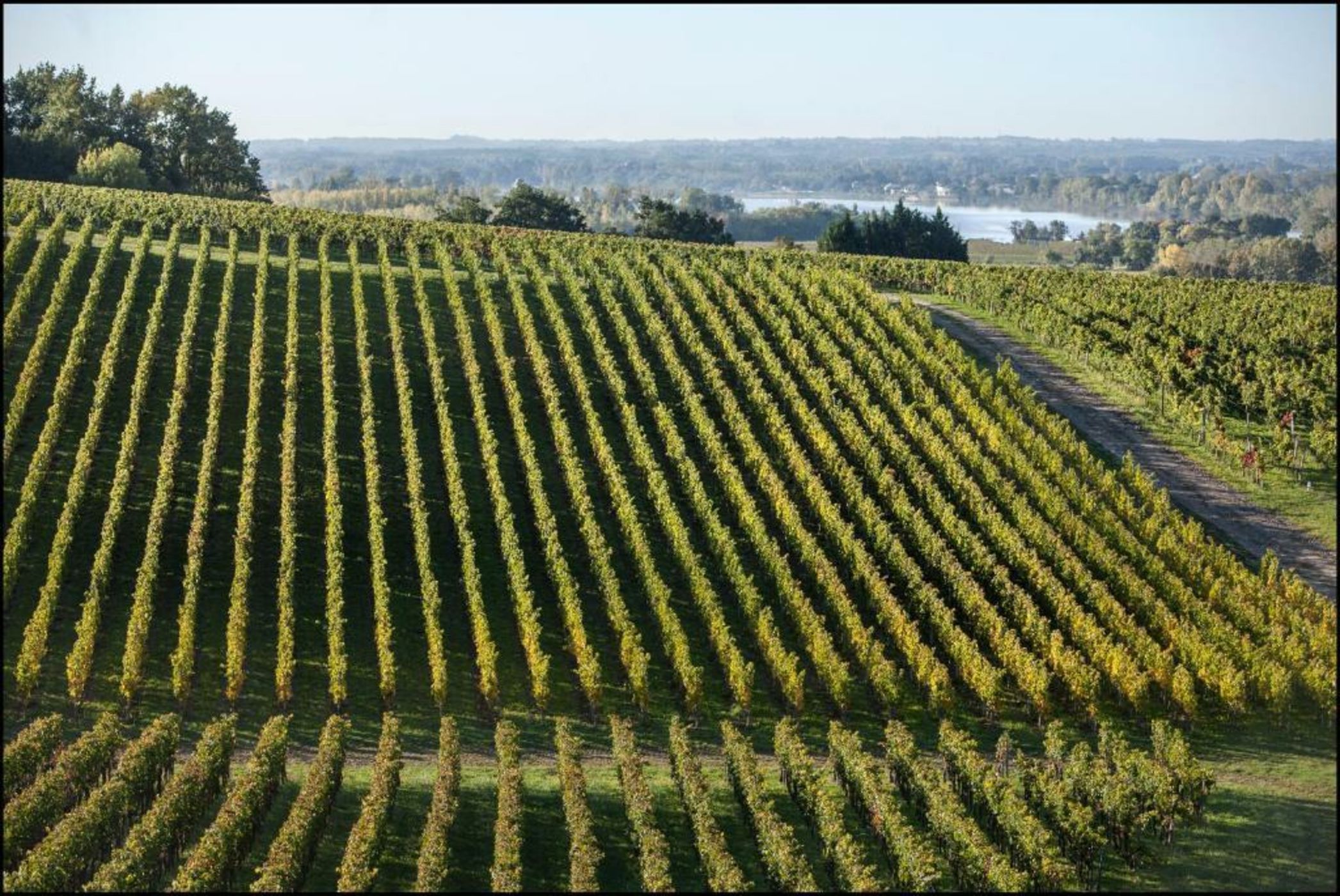 Château de La Rivière