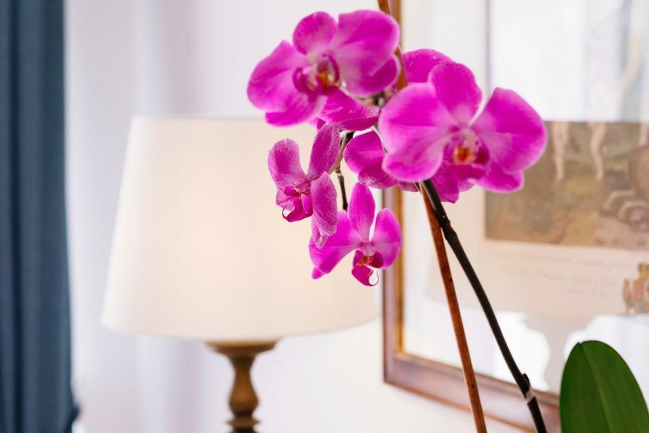 La Bizantina Luxury Villa