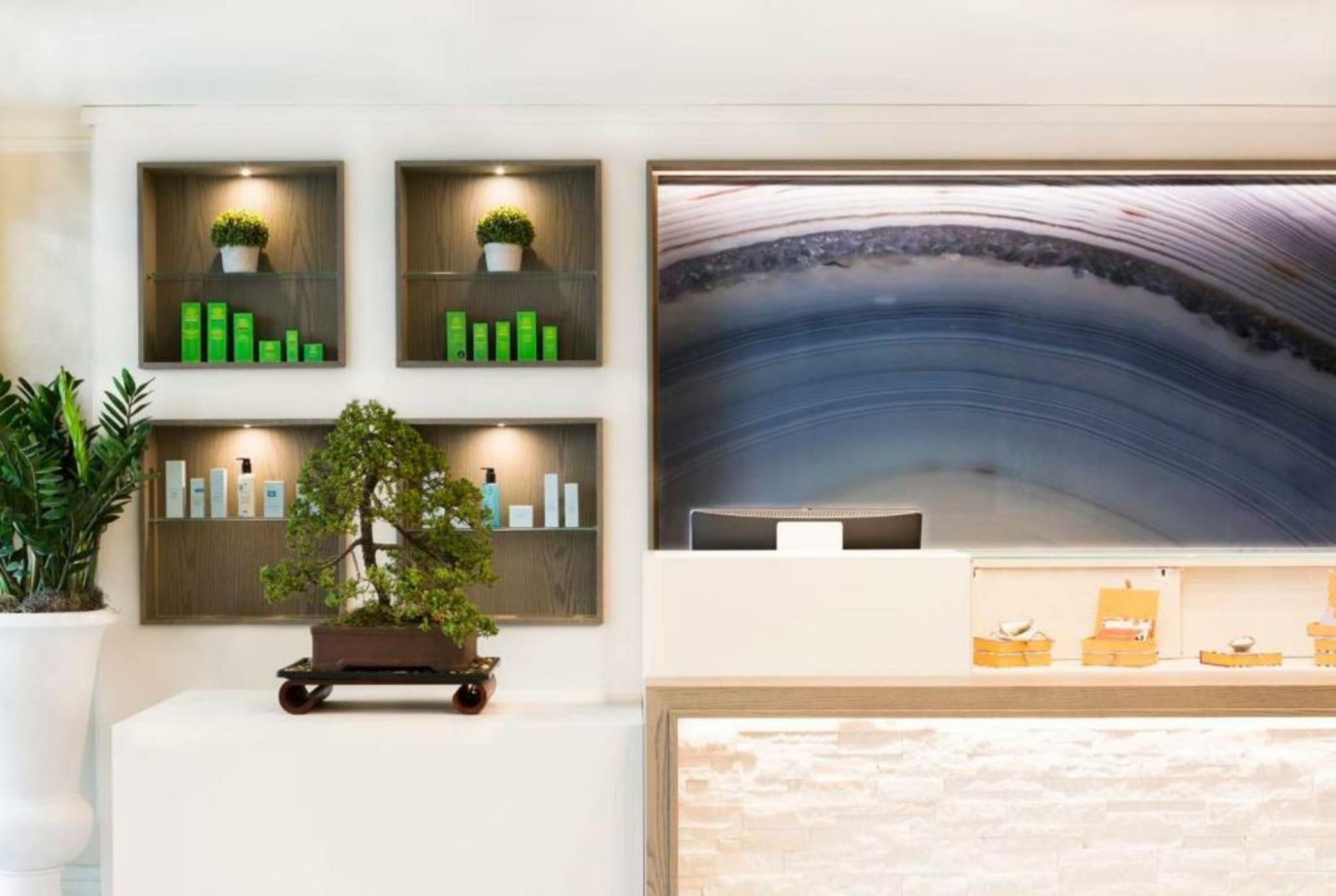 The Charleston Place