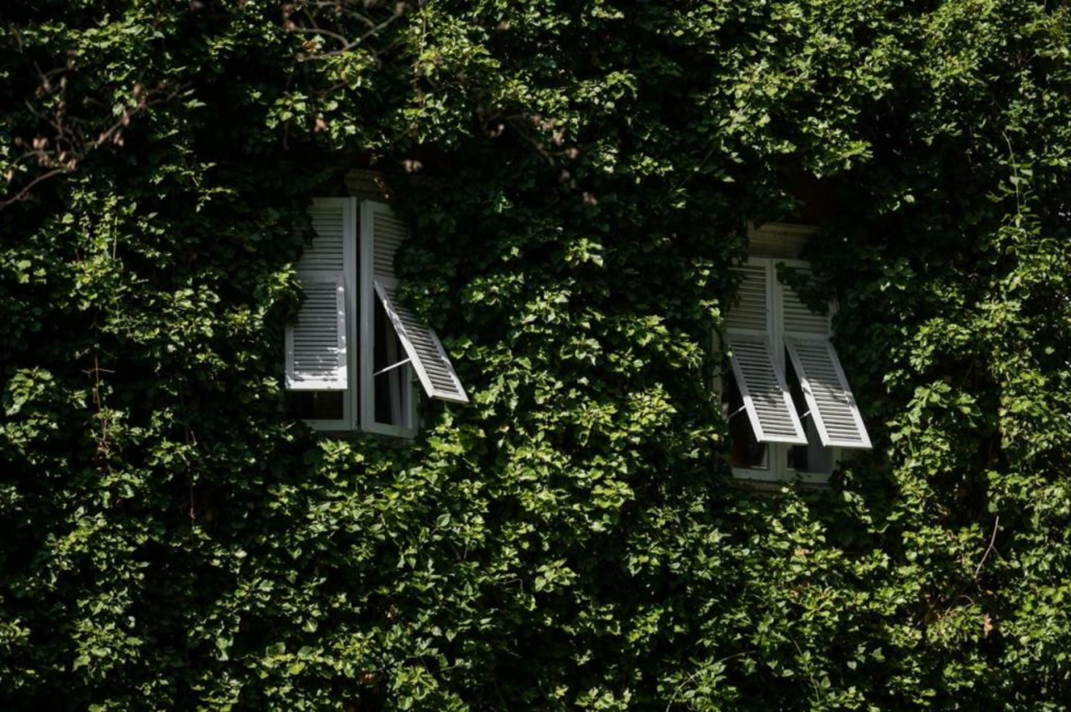 Parkhotel Mondschein