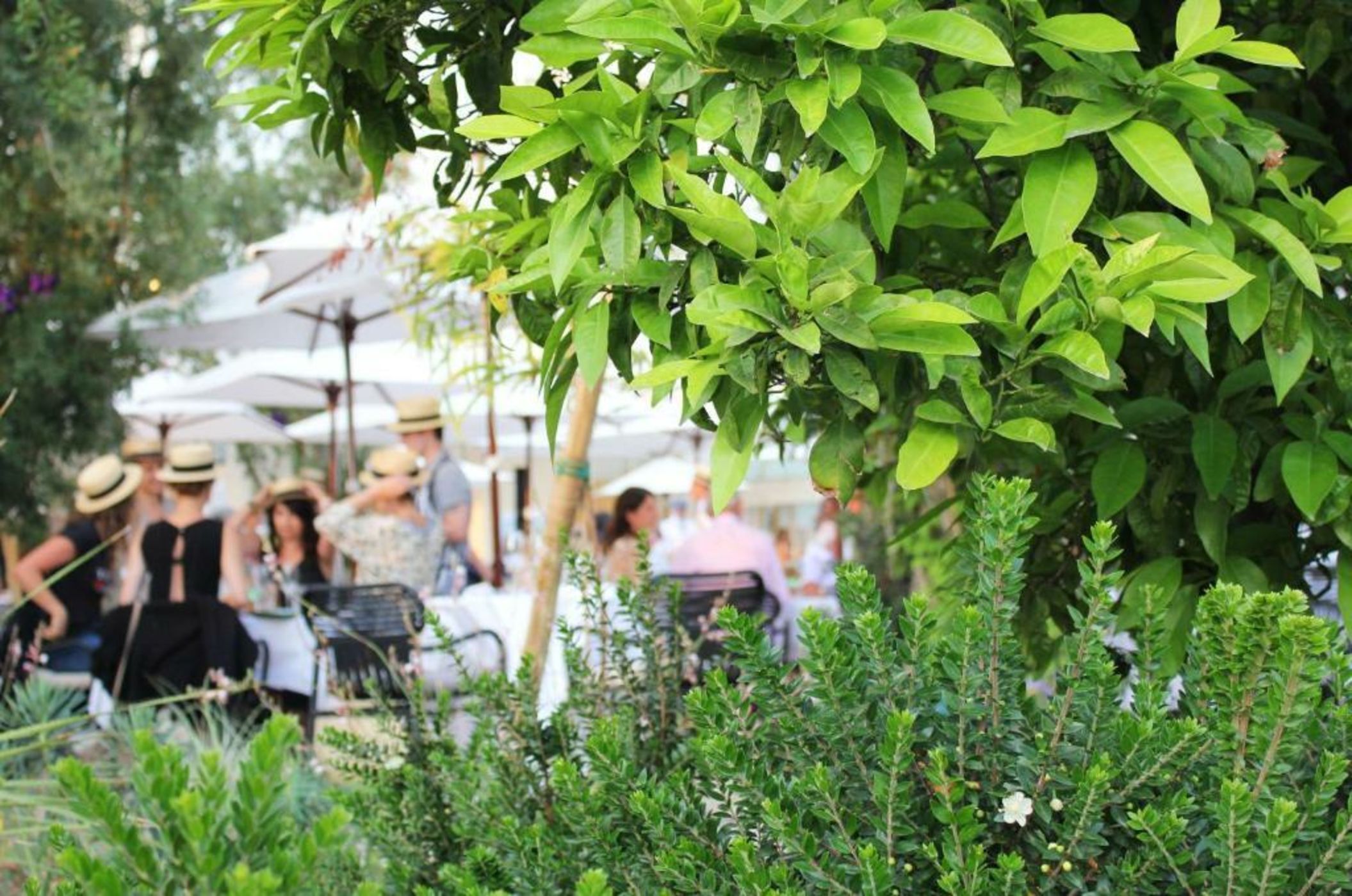 Hôtel Martinez, in The Unbound Collection by Hyatt