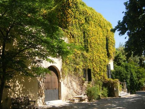 Refugio Son Pons