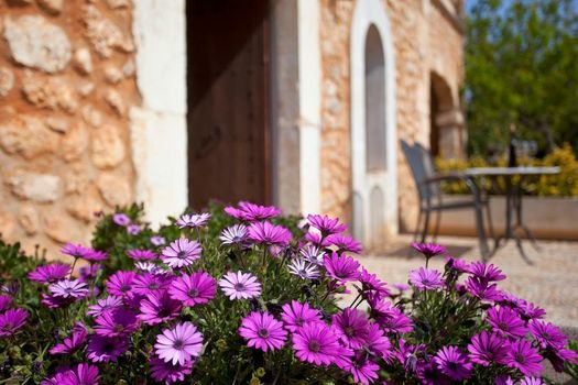 Agroturismo Es Quatre Cantons