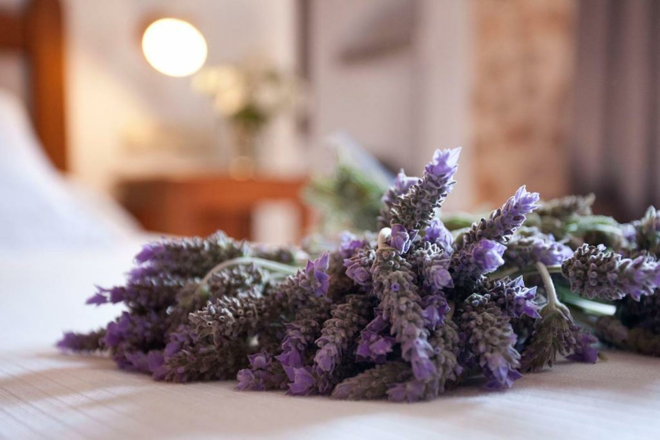 Agroturismo Es Quatre Cantons