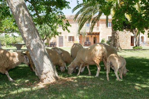 Agroturismo Es Quatre Cantons