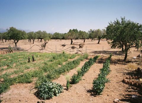 Agroturismo Es Quatre Cantons