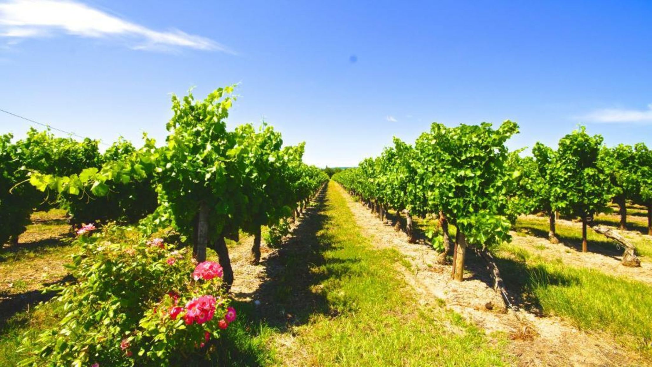 Le Phébus & Spa – Relais & Châteaux