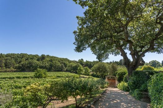Domaine Les Roullets