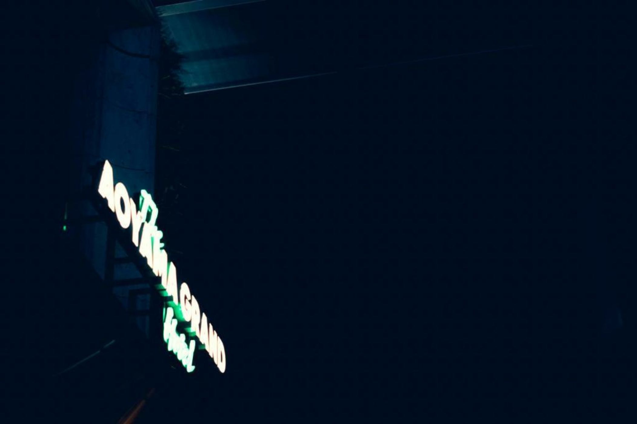 THE AOYAMA GRAND HOTEL