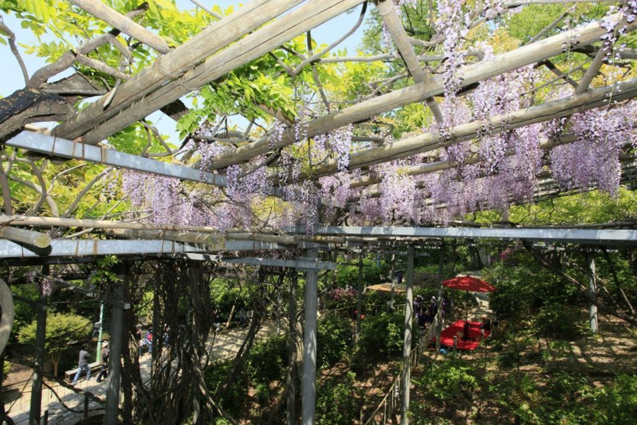 Ryori Ryokan Tsurugata