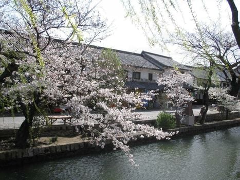 Ryori Ryokan Tsurugata