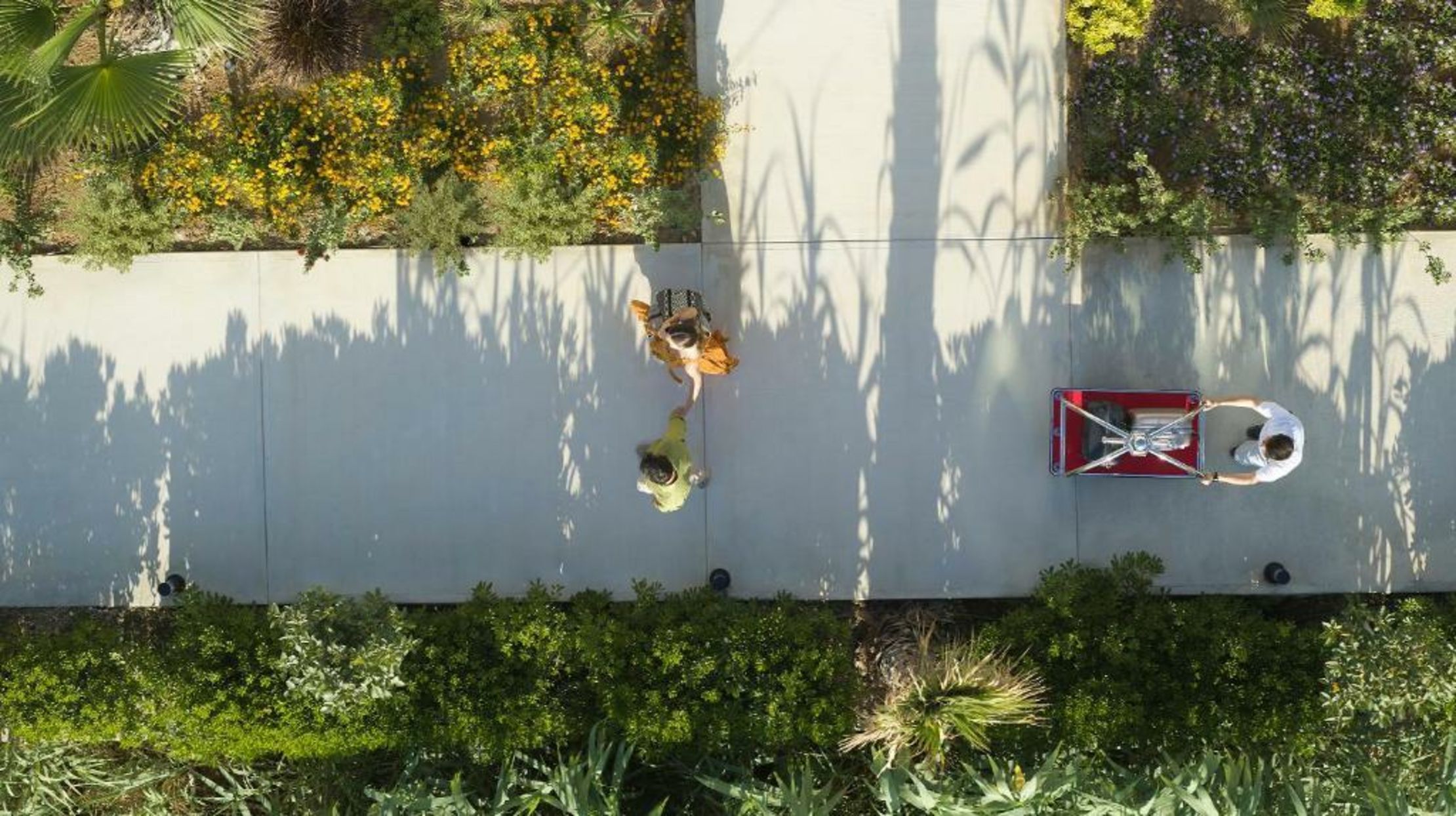 Asterion Suites & Spa