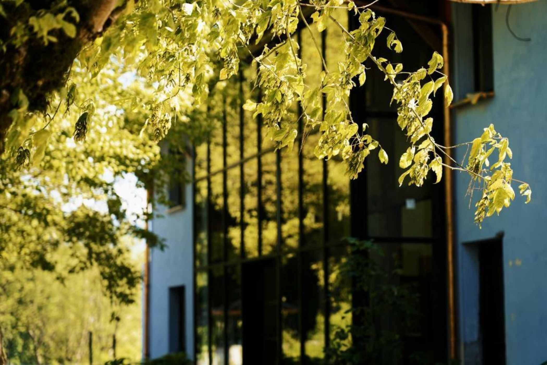 Hôtel Le Mouton Bleu