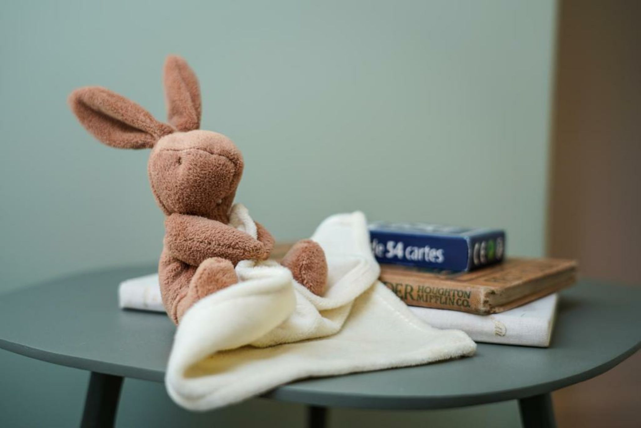 Hôtel Le Mouton Bleu