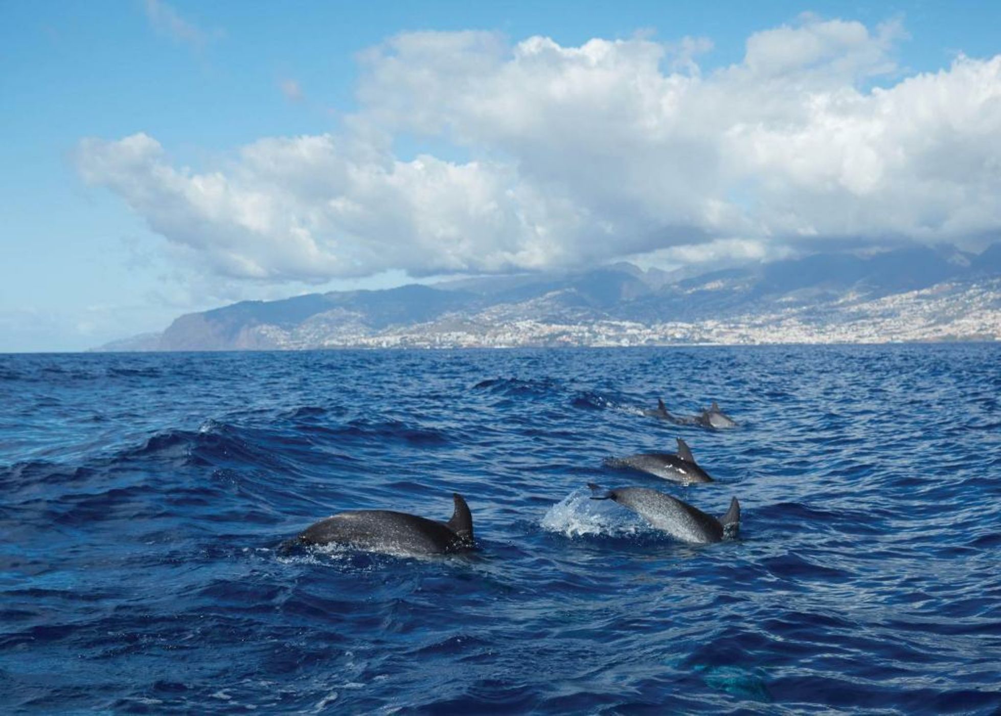 Reid's Palace, A Belmond Hotel, Madeira