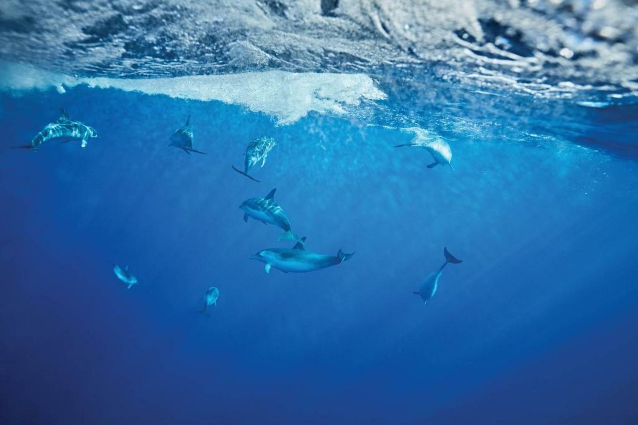 Reid's Palace, A Belmond Hotel, Madeira