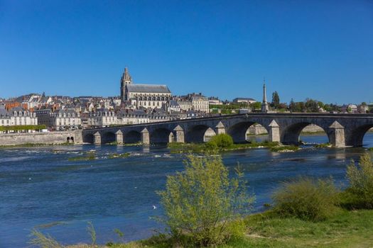 Fleur de Loire
