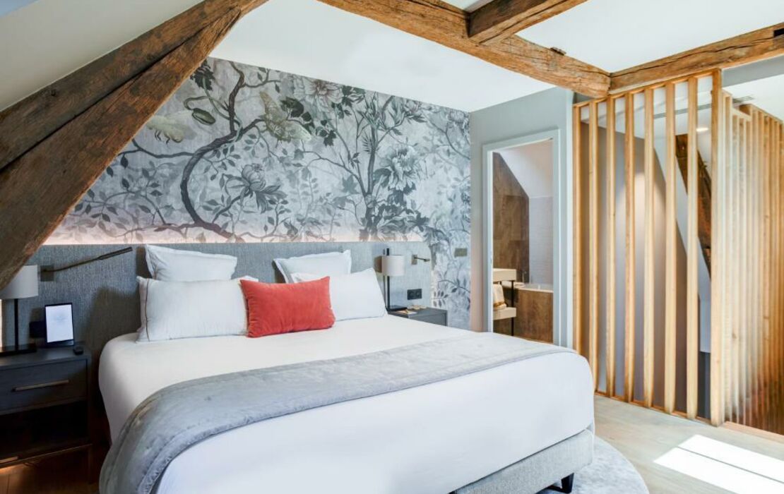 Fleur de Loire, a Design Boutique Hotel Blois, France