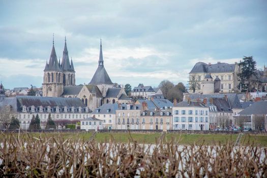 Fleur de Loire