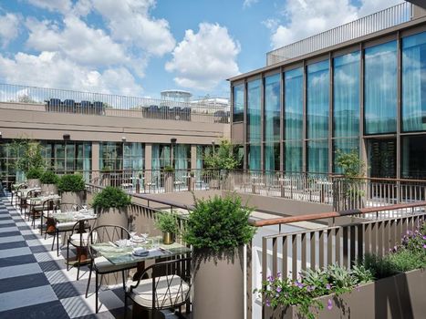 Rosewood Vienna