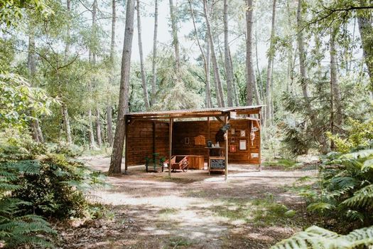 Tiny Stay - Ecolodge