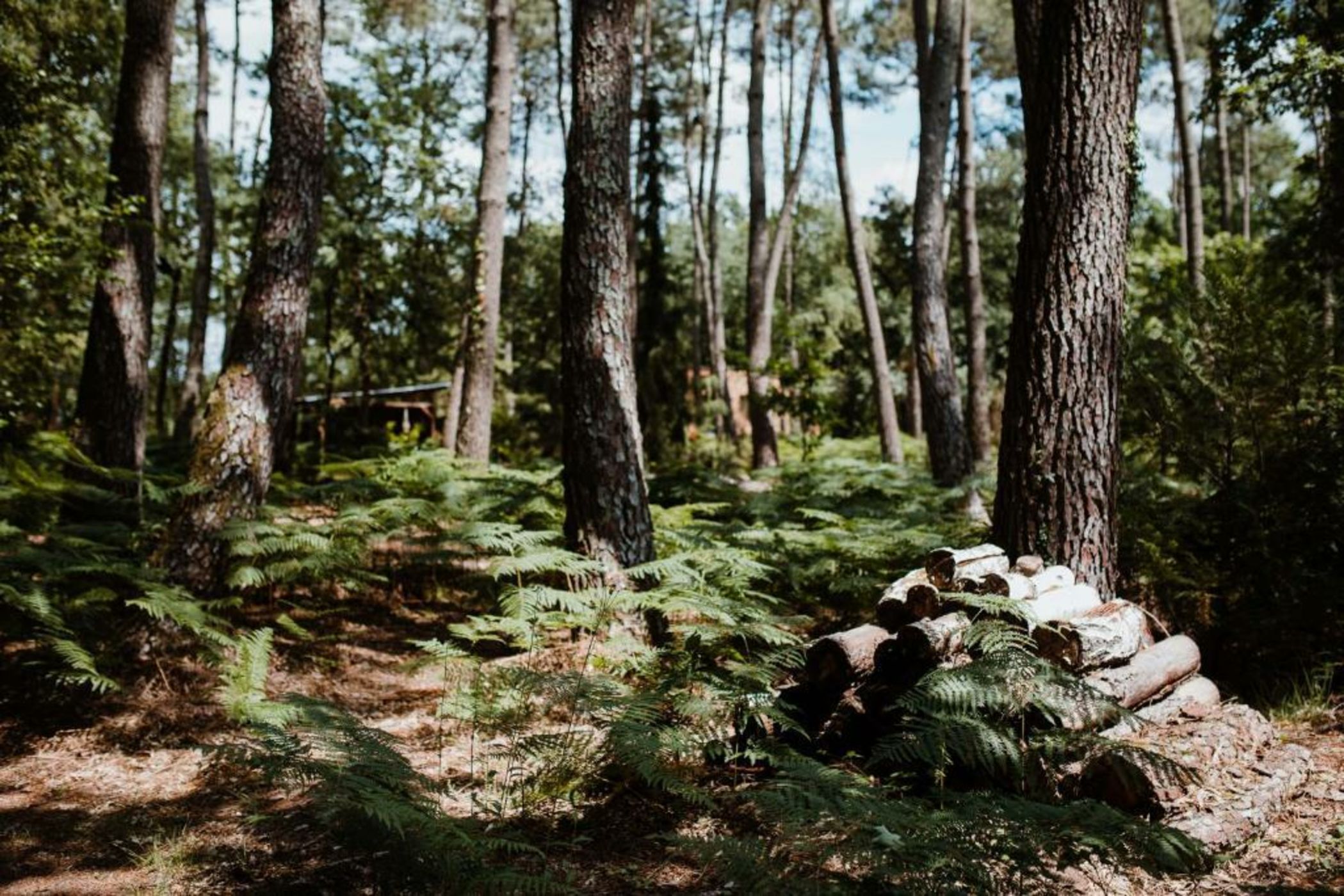 Tiny Stay - Ecolodge