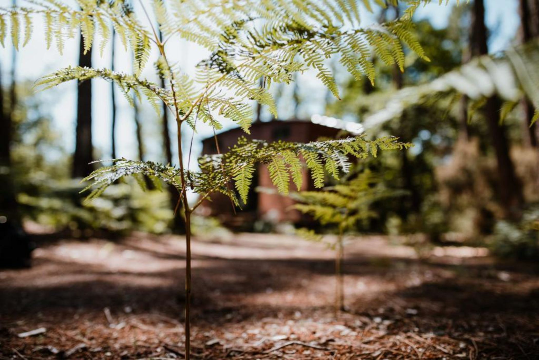 Tiny Stay - Ecolodge