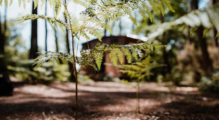 Tiny Stay - Ecolodge