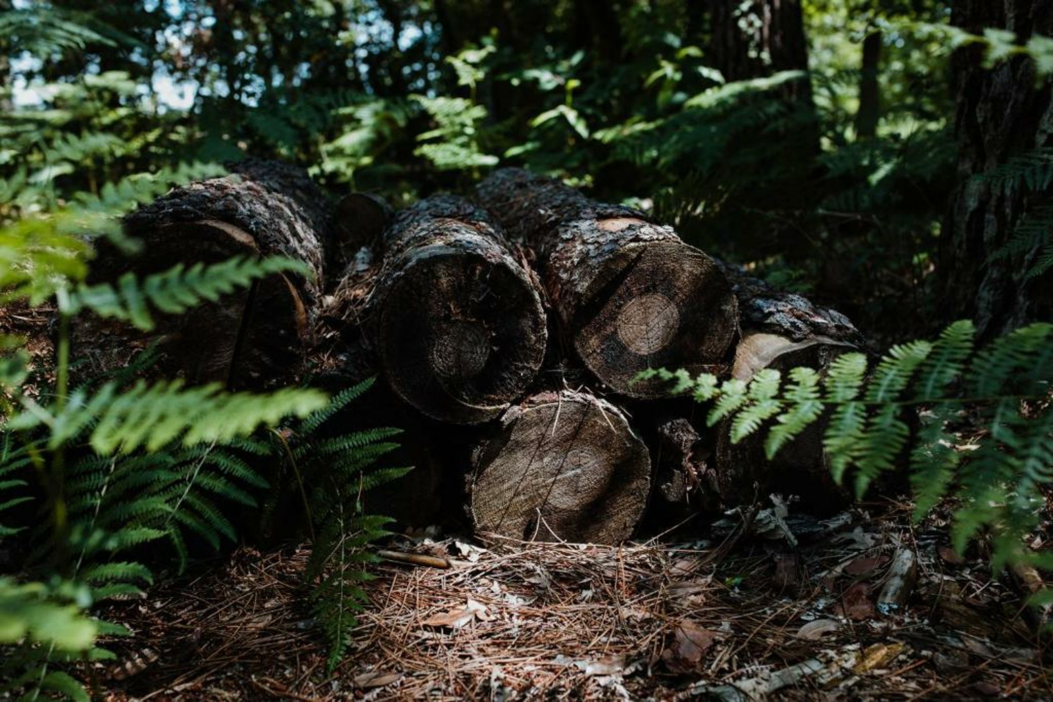 Tiny Stay - Ecolodge