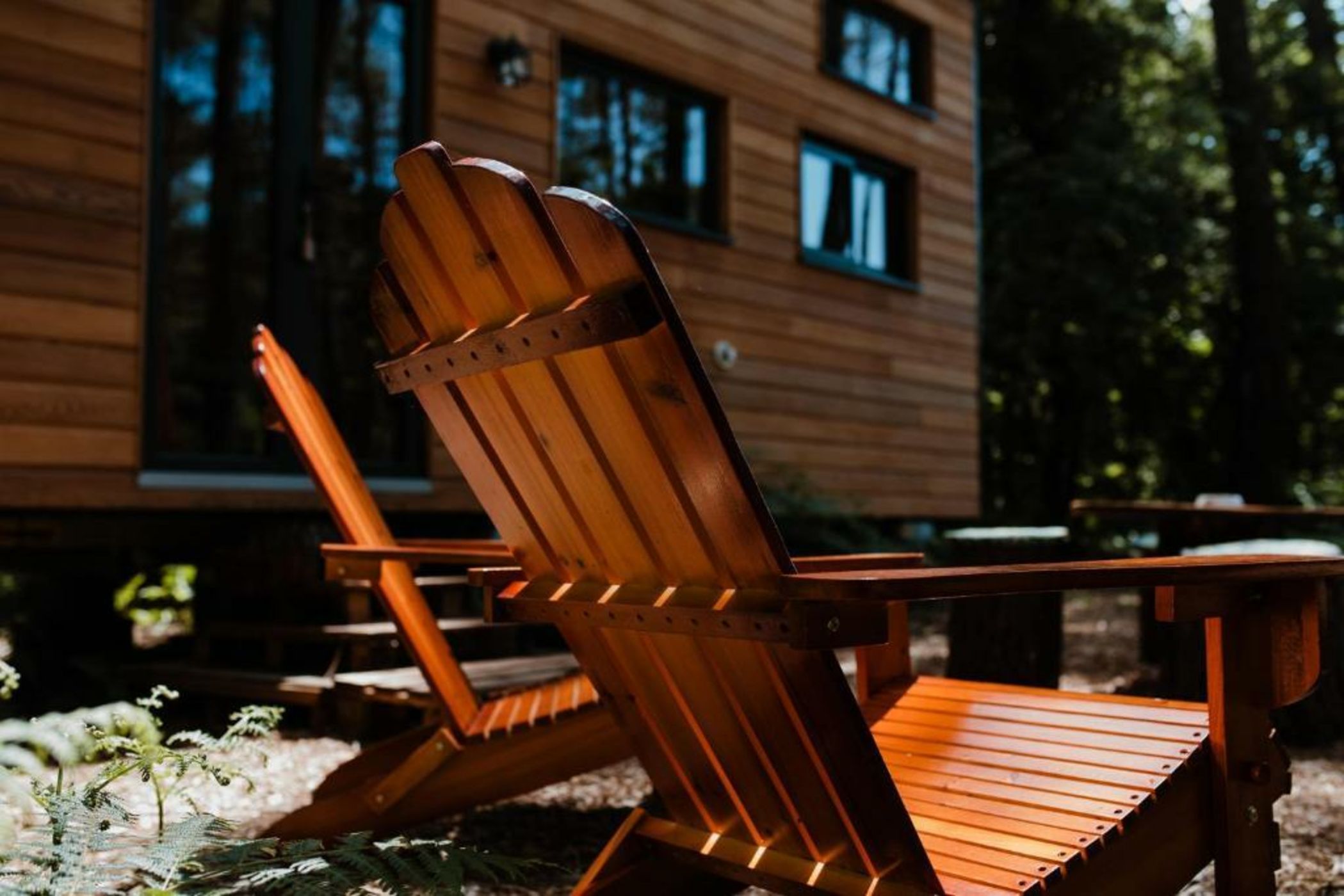 Tiny Stay - Ecolodge