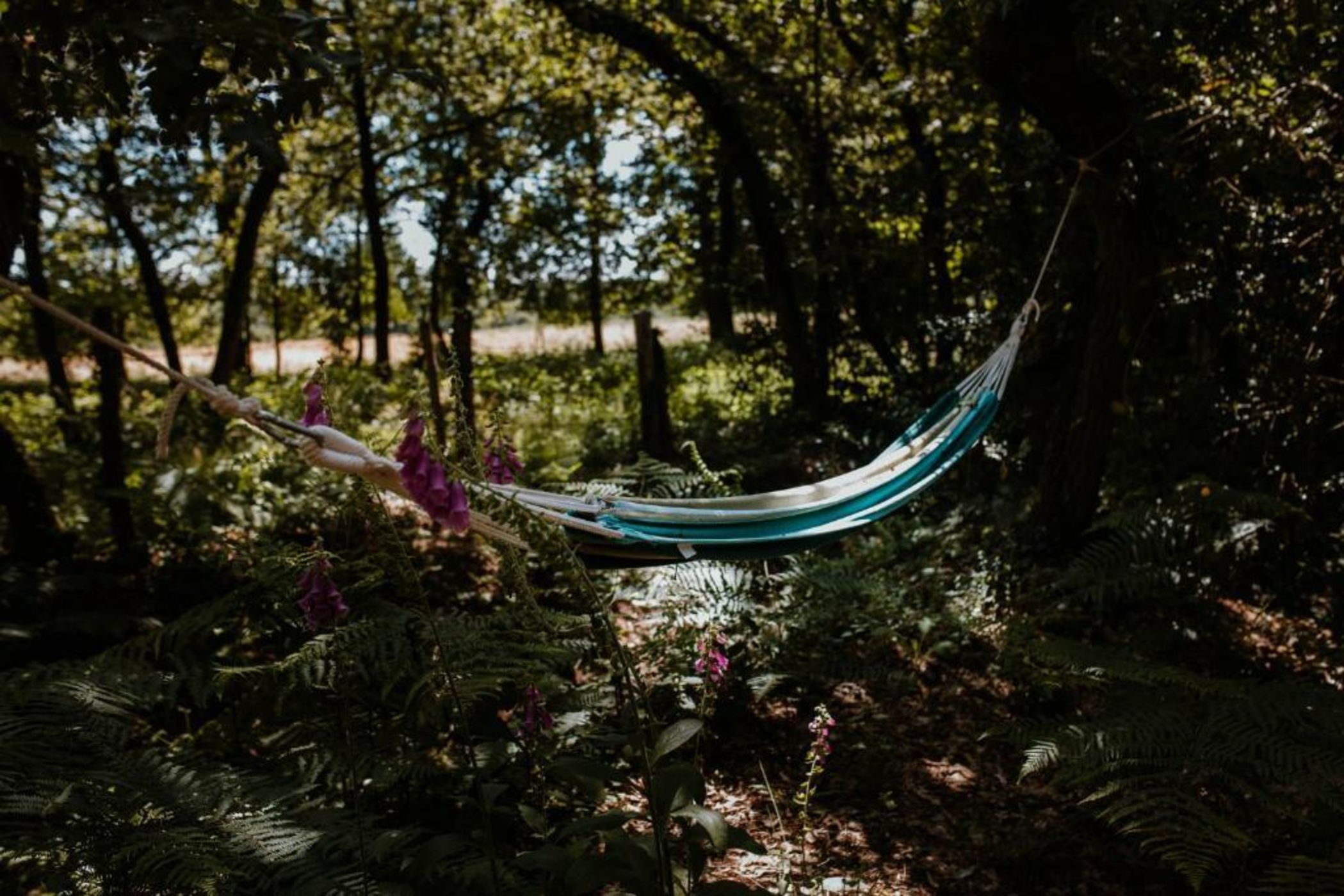 Tiny Stay - Ecolodge