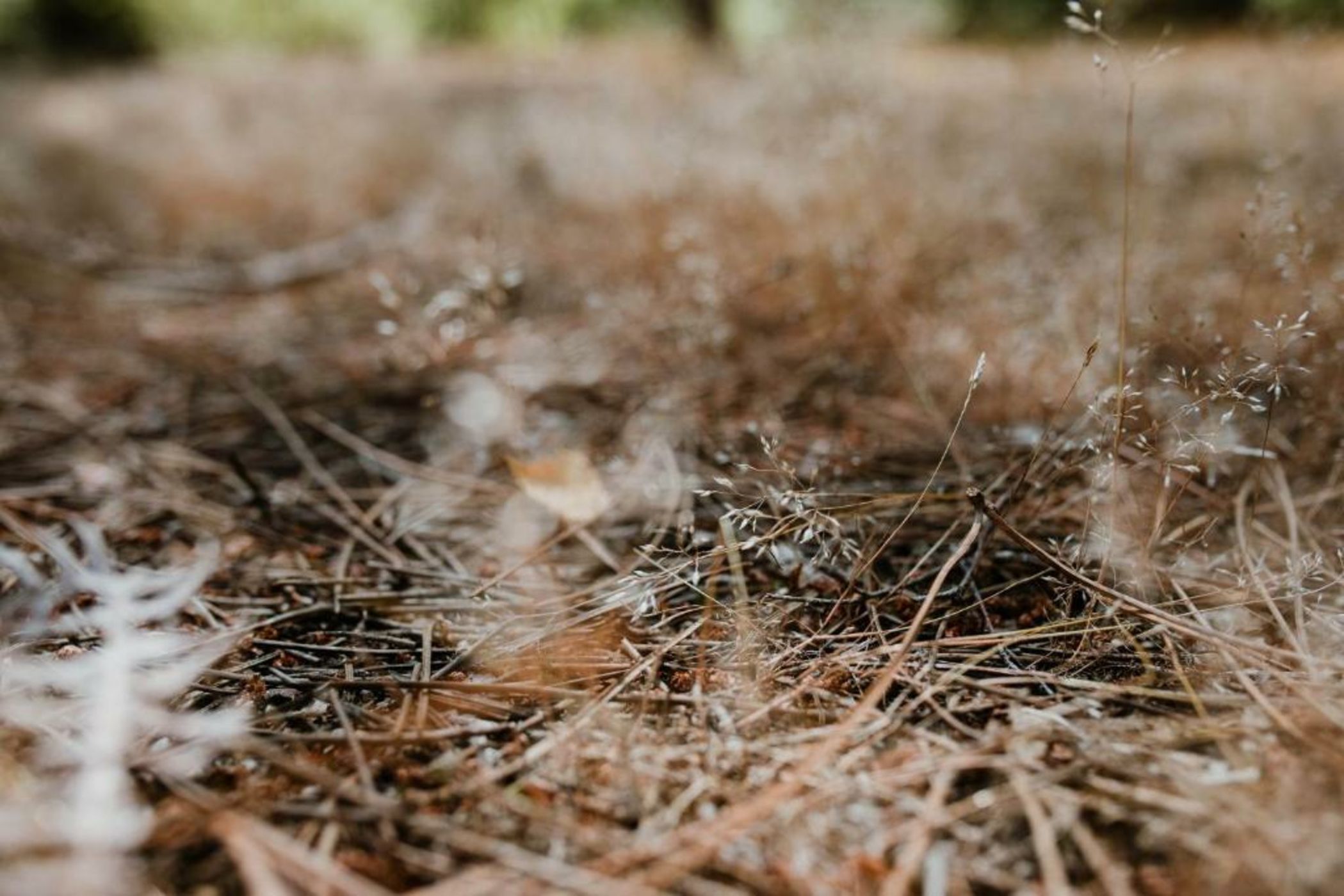 Tiny Stay - Ecolodge