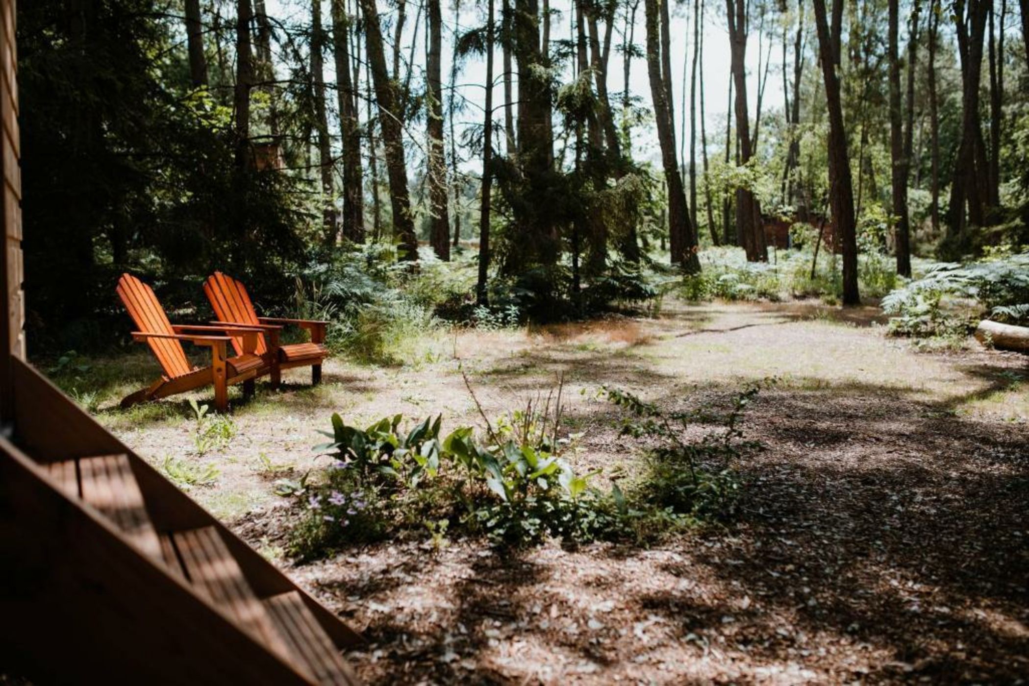 Tiny Stay - Ecolodge