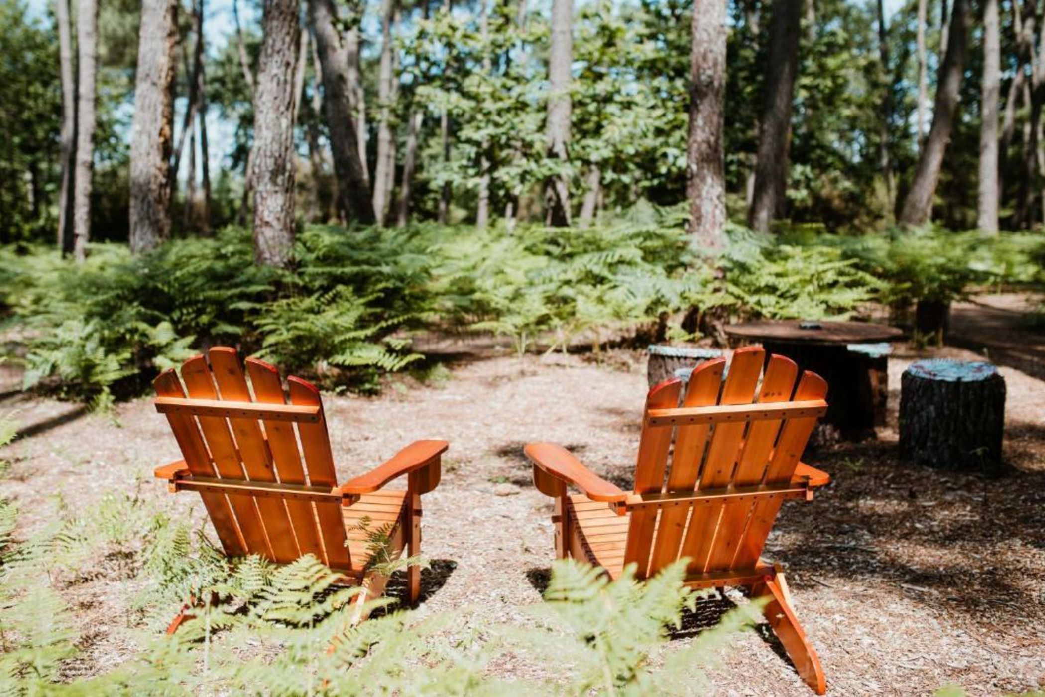 Tiny Stay - Ecolodge