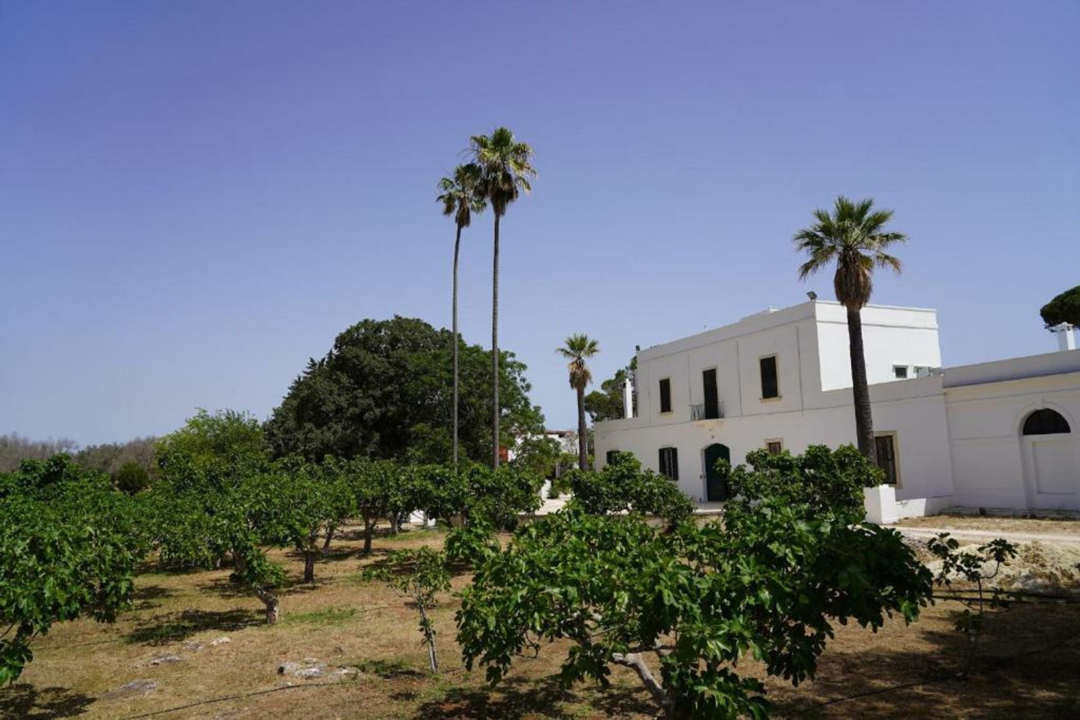 Filippo de Raho Agri Bio Relais