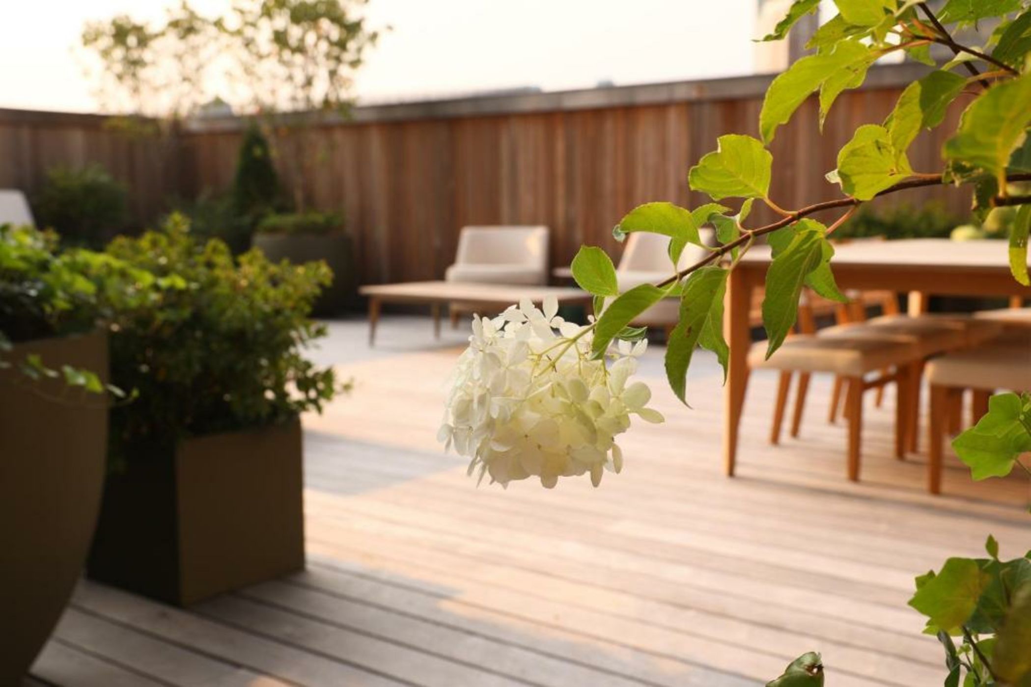 Casa Cipriani New York