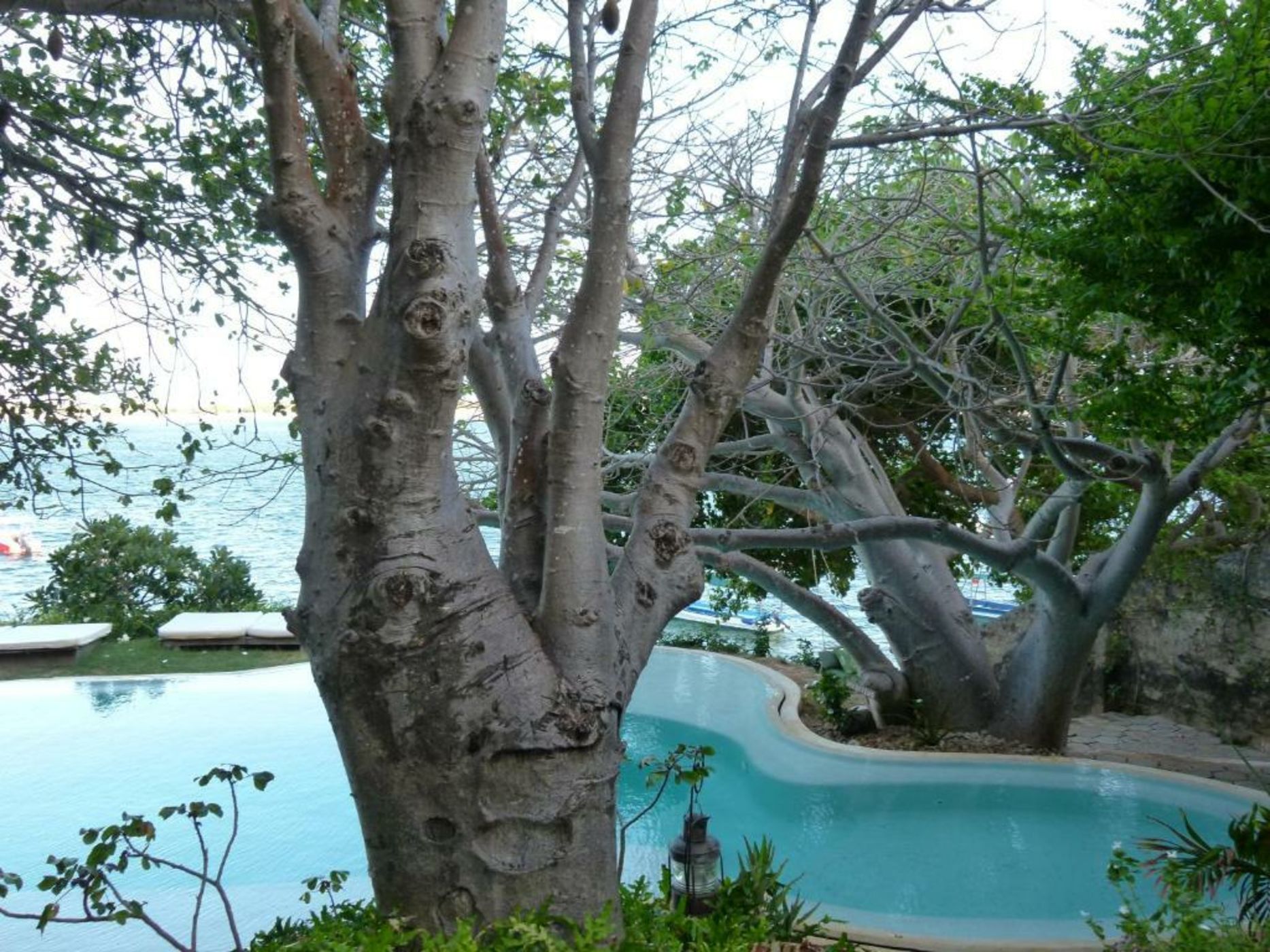 Peponi Hotel Lamu - Kenya